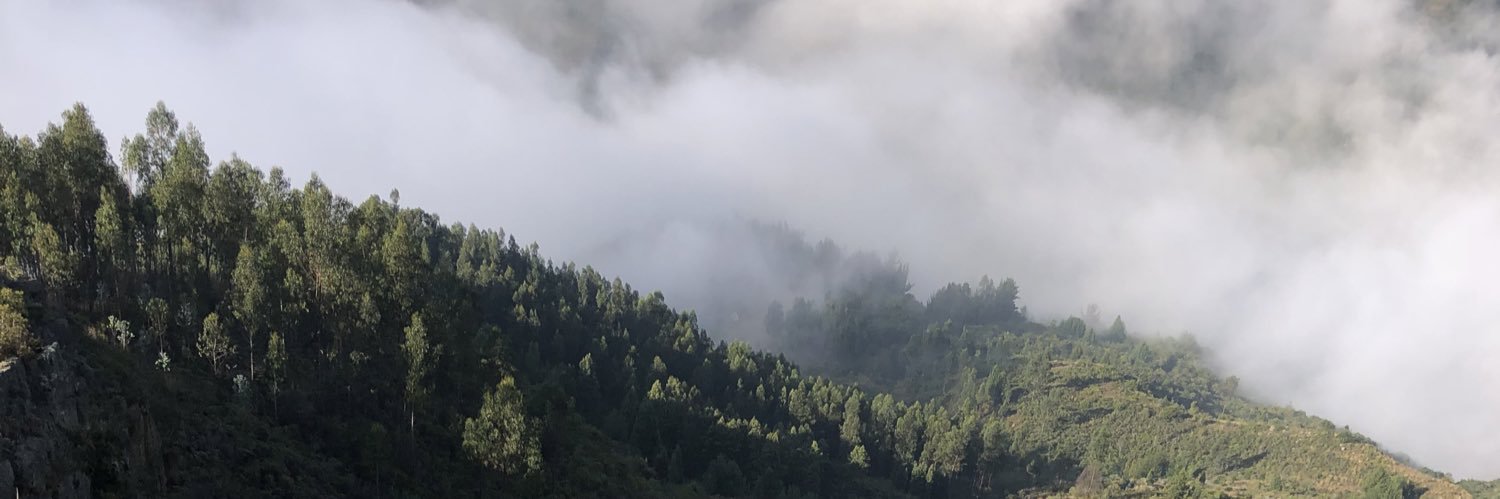 miltonlatorre's profile banner image