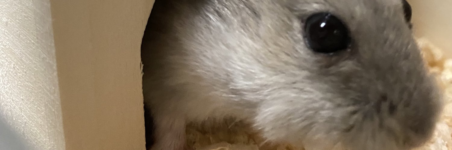 otatuqed's profile banner image