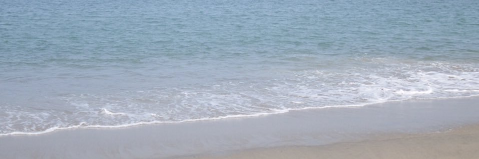nanamin329's profile banner image