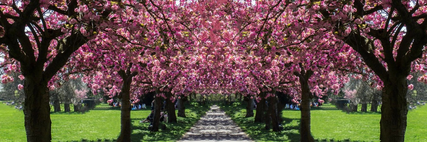 Clem Fandango banner