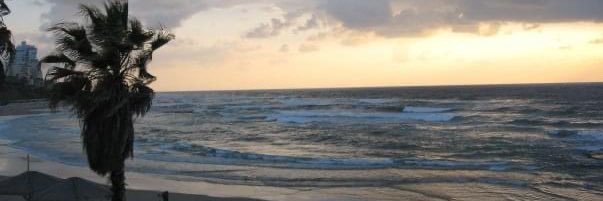 Aida Essaid - Այտա Էսսաիտ - عايدة السعيد banner