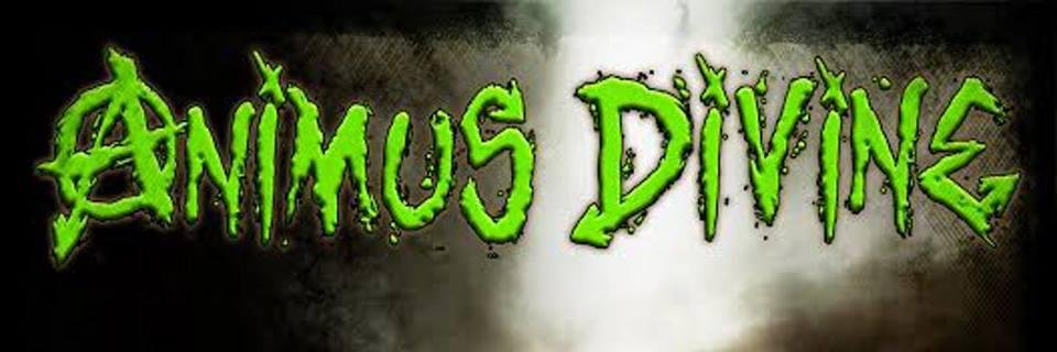 AnimusDivine's profile banner image