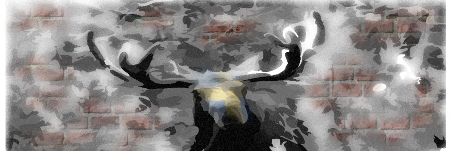 Swemoose's profile banner image