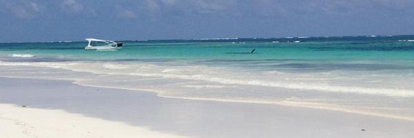 warothe Profile Banner