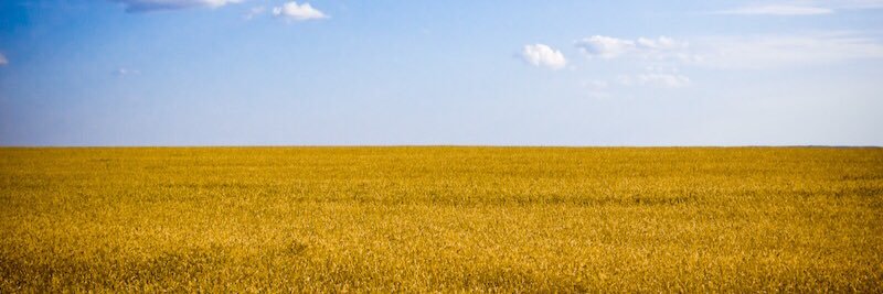 T/Безумные босс (Retired Again) 🇺🇦's banner