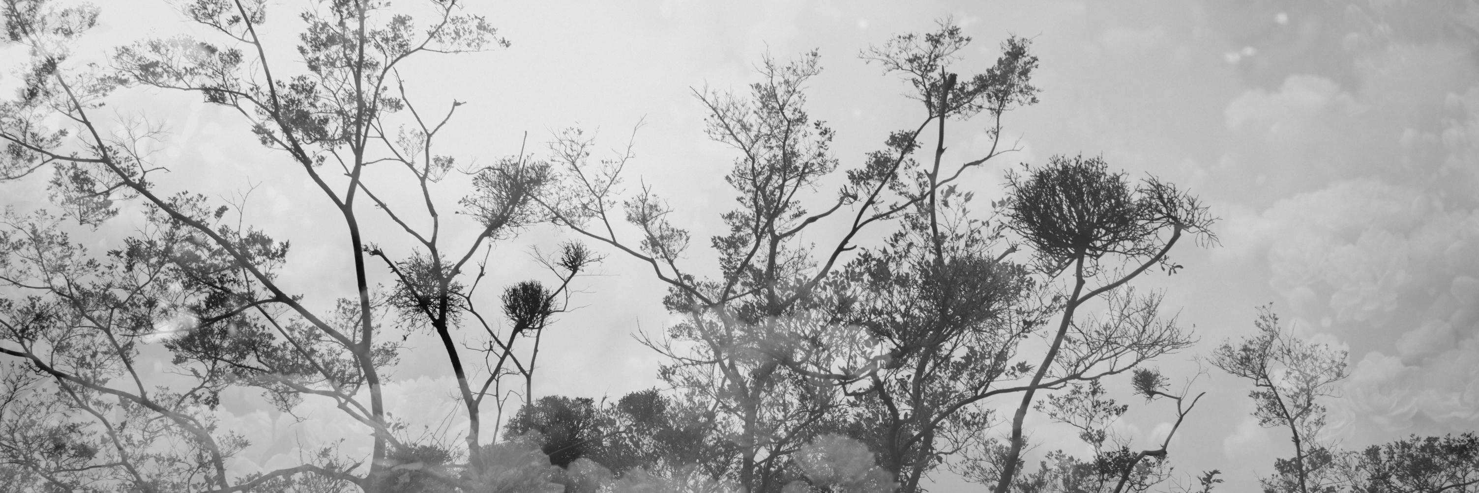 rachellakeca's profile banner image