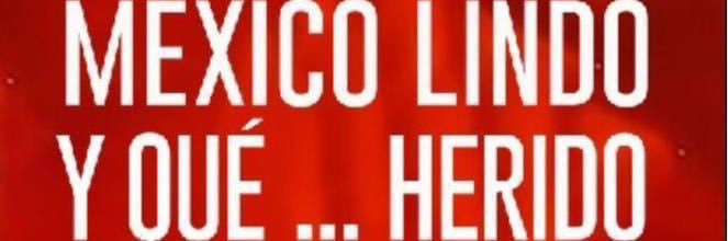 sargento cananas banner