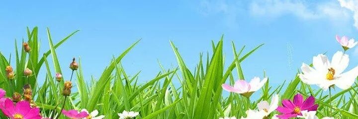 Mo7md banner