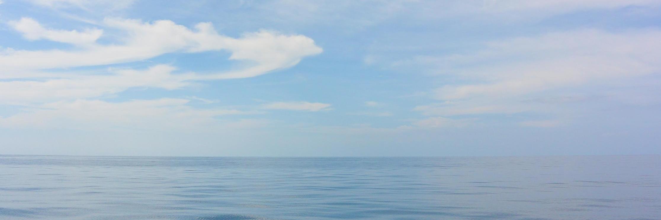 After_WhatNow's profile banner image