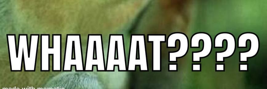 camelboy33's profile banner image