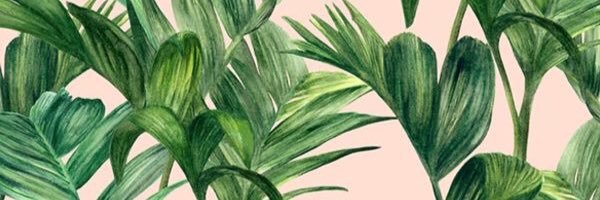 bbbeam2's profile banner image