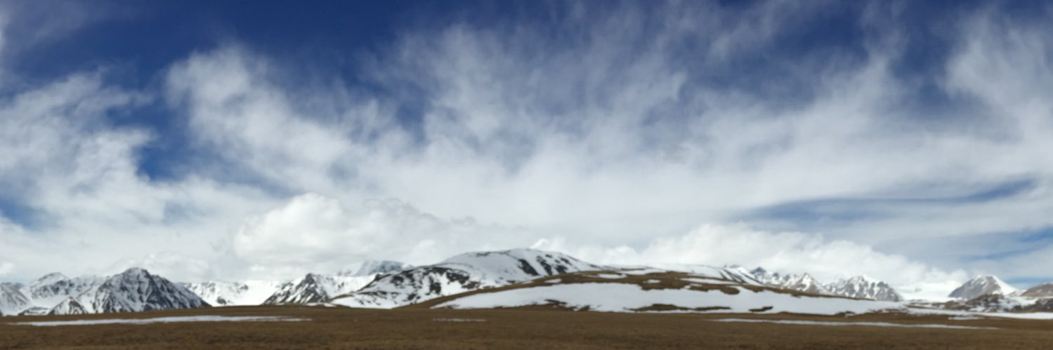 carobreure's profile banner image