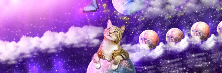 Biolowsky 🔍 banner