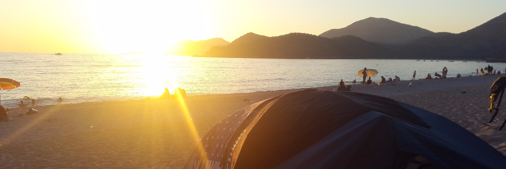 NoGoLady's profile banner image