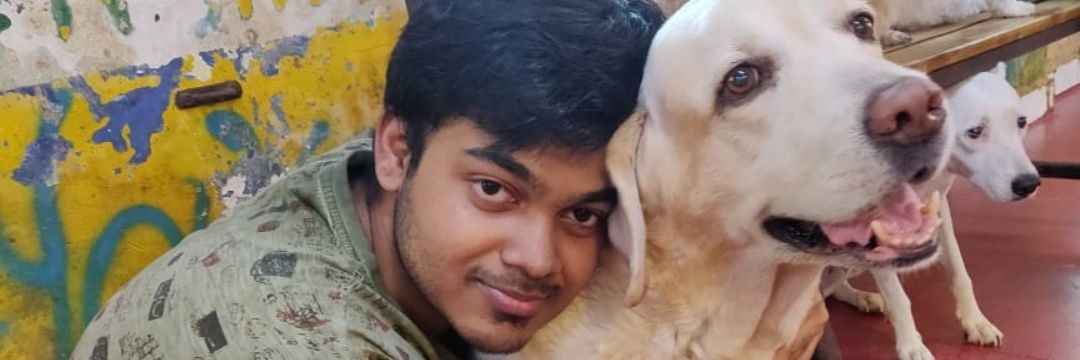 LiarNair's profile banner image