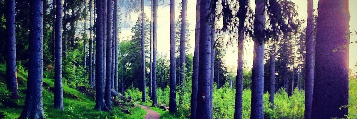 Alexander Gustafsson banner