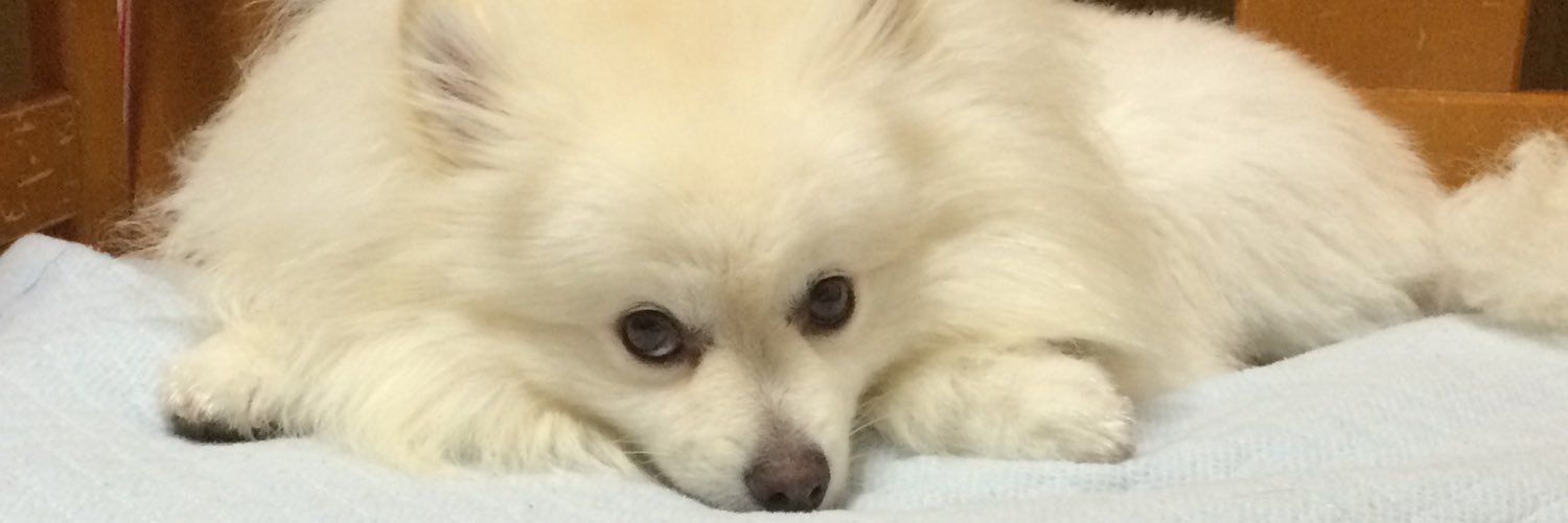 318Taisei's profile banner image
