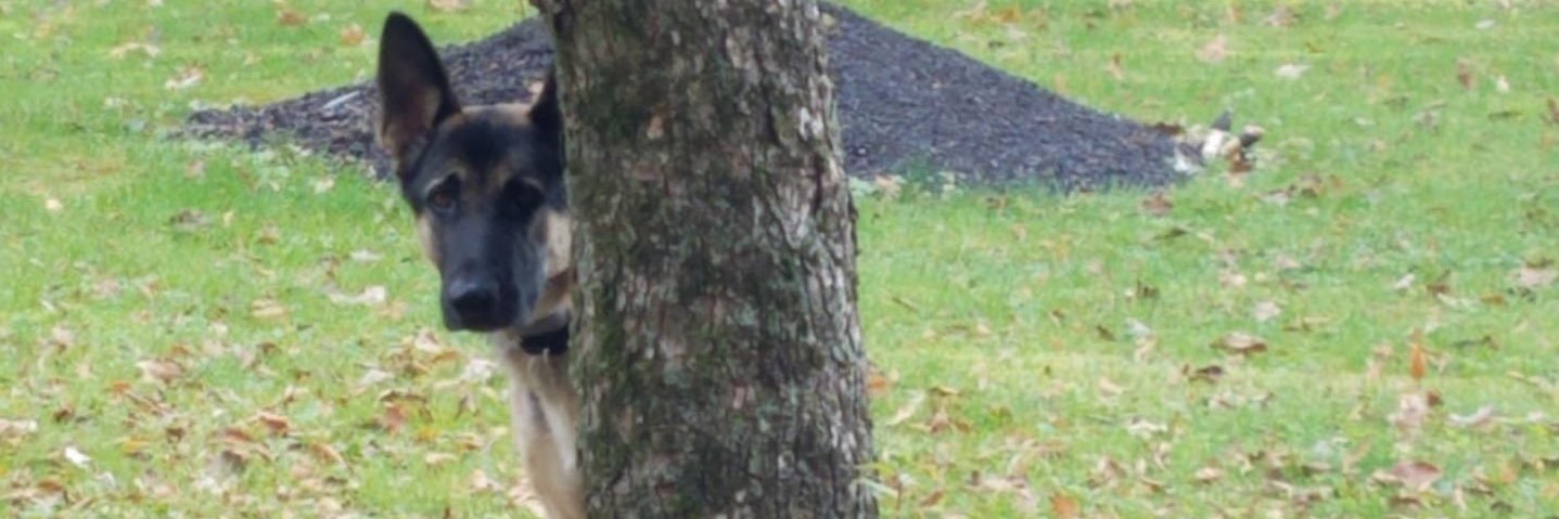 ROsunshine43's profile banner image