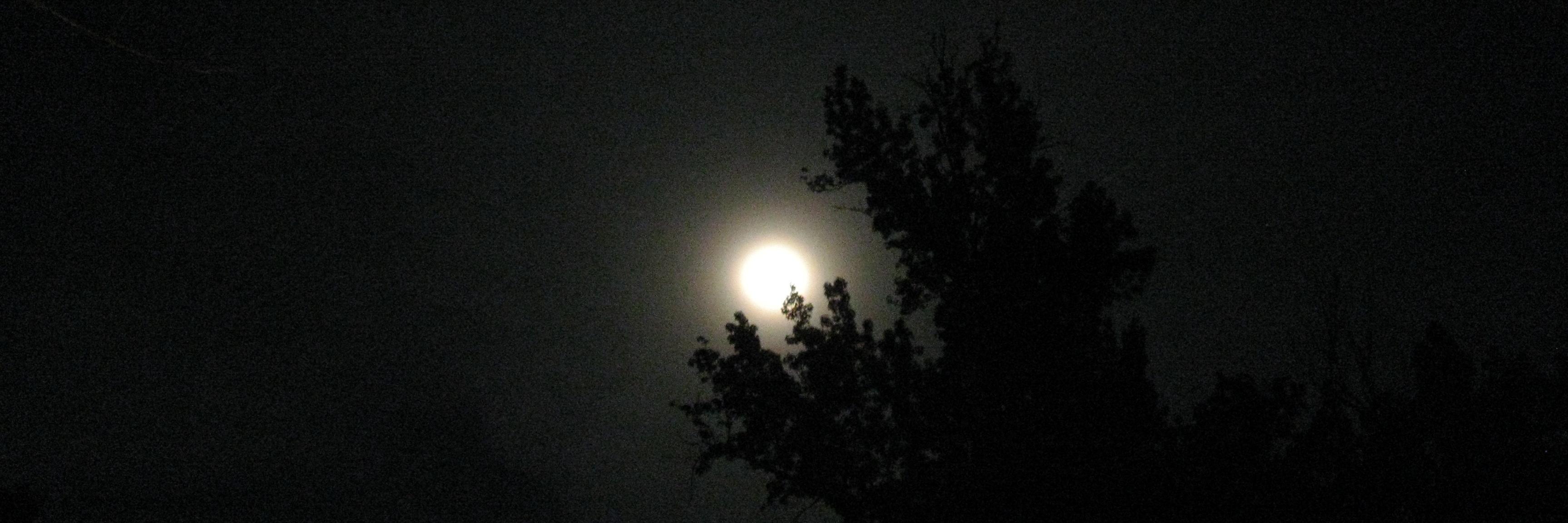 txmoondox's profile banner image