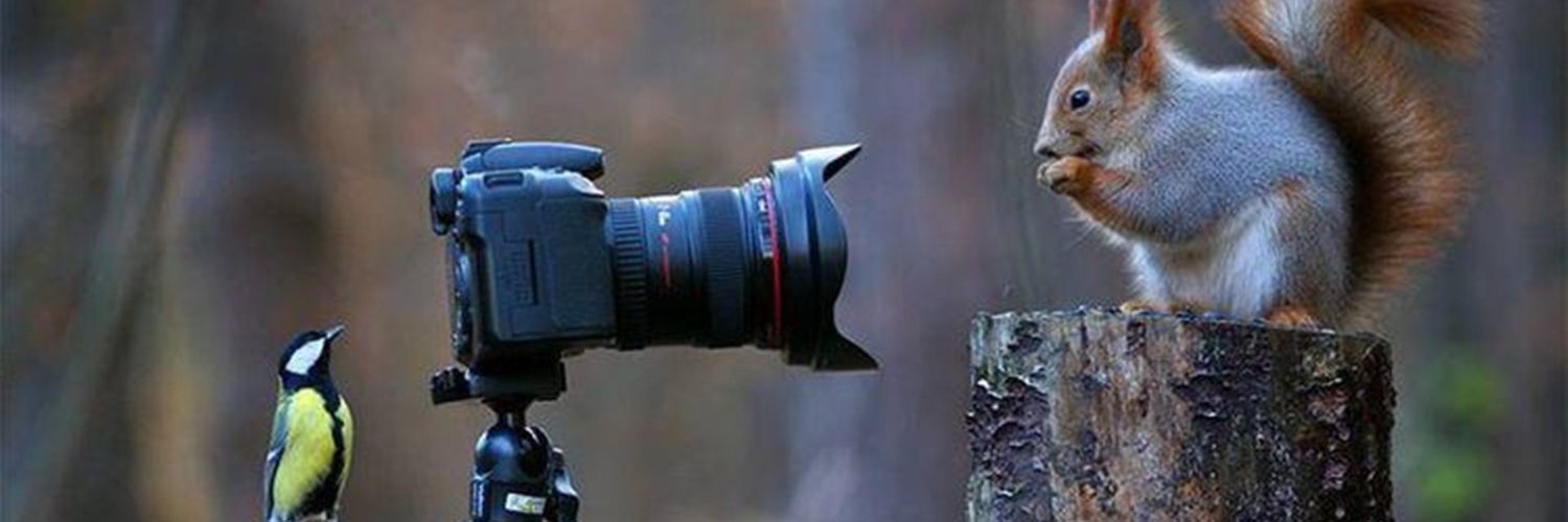 tanimum1's profile banner image