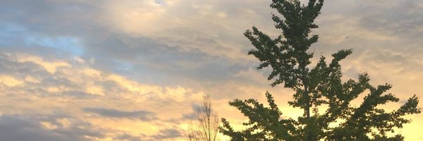 amylee514 Profile Banner