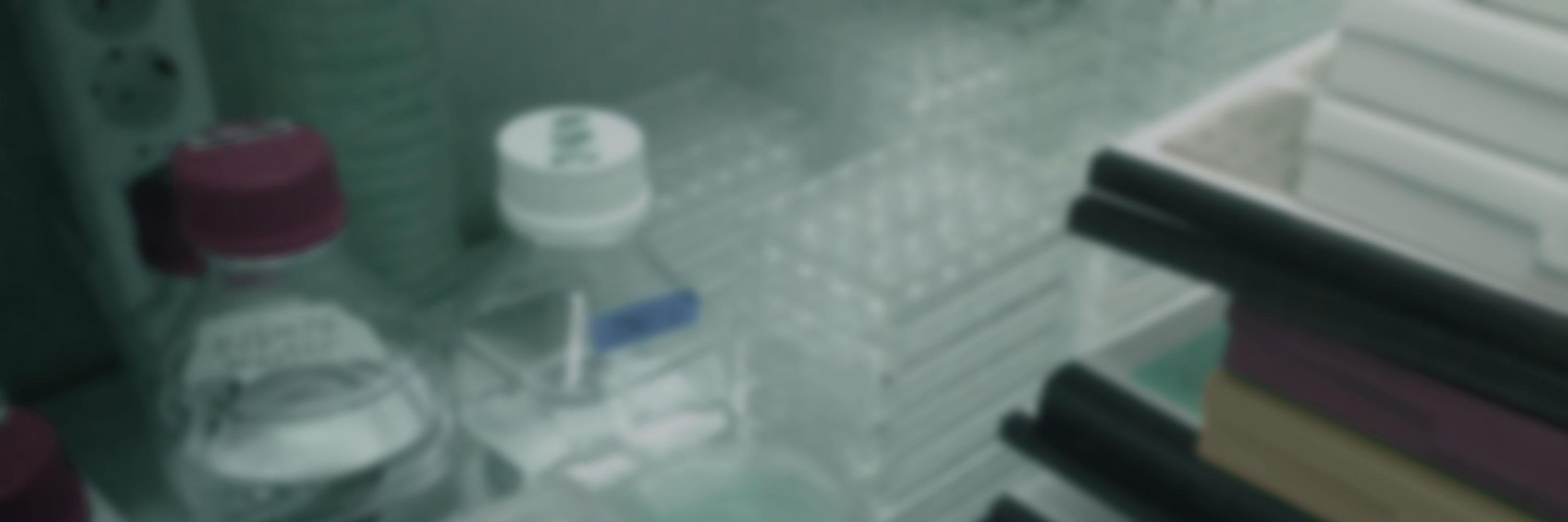 Daniel Fürth banner