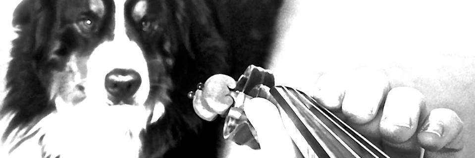 BirgitKolar's profile banner image
