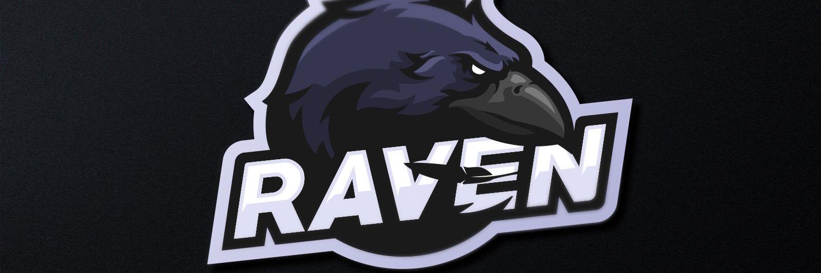 Raven banner