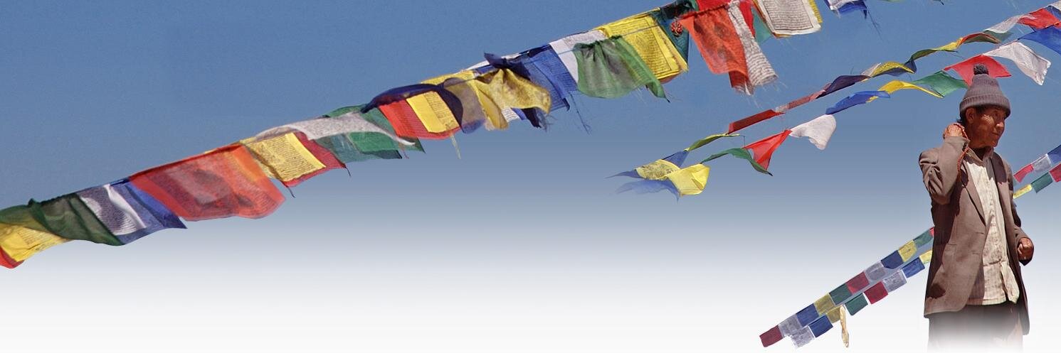 Allibert Trekking banner