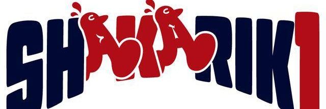 たつや【NEXT→日向坂46の7回目のひな誕祭両日(横浜スタジアム)】 banner