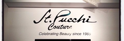 rani_stpucchi's profile banner image