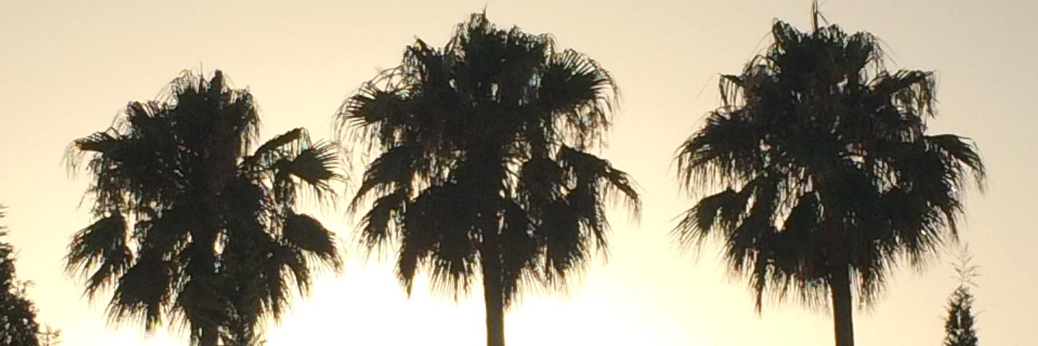 LewBidds's profile banner image