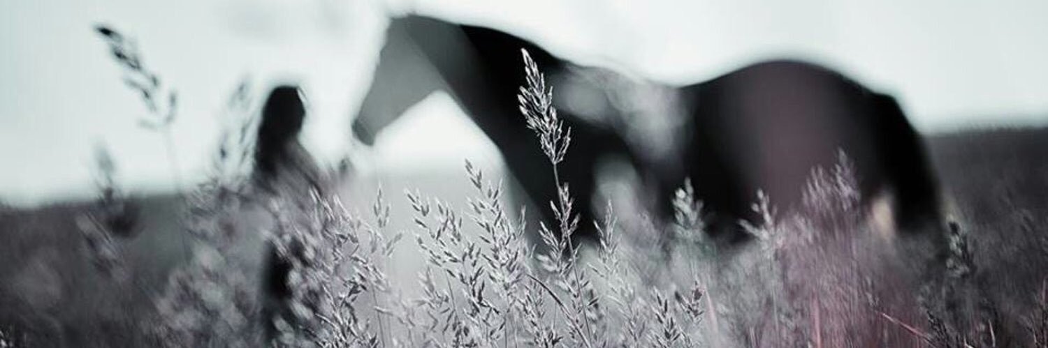 _AlReeM_1's profile banner image