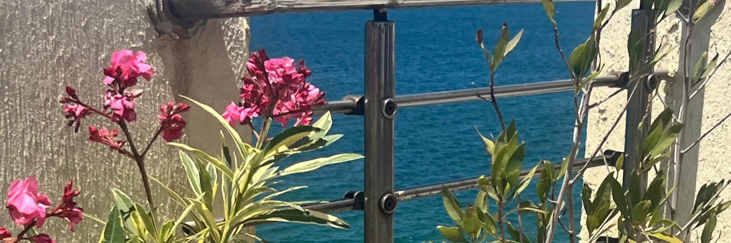 ShahdShawkat's profile banner image