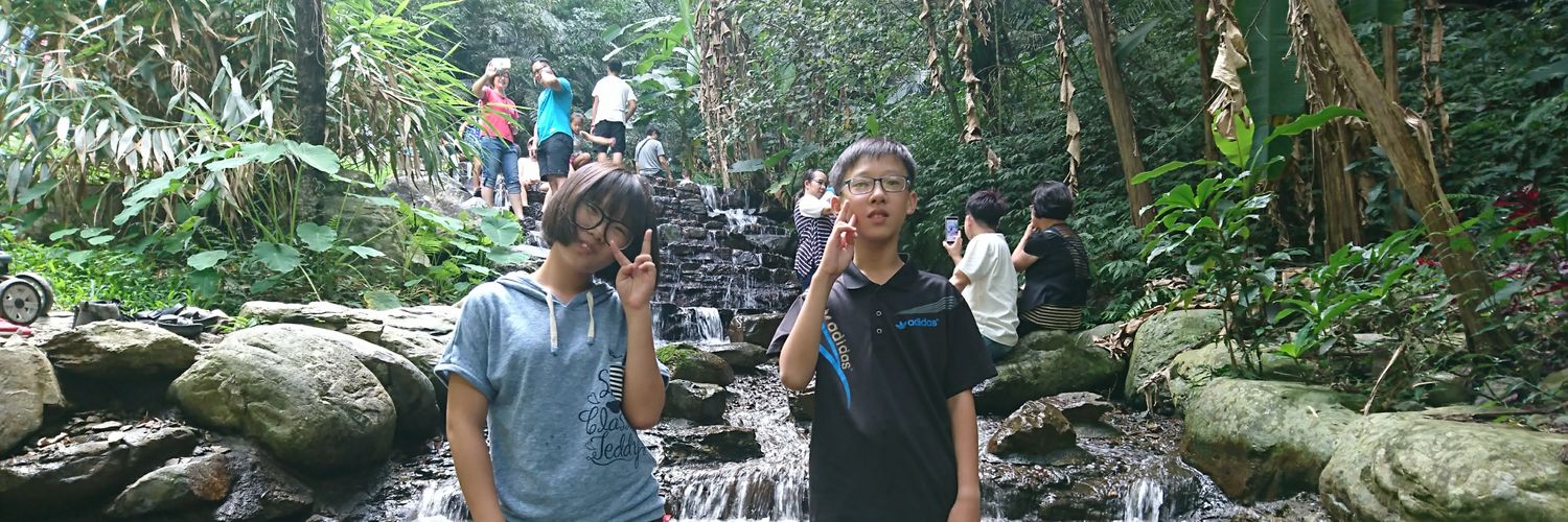 flywingzz's profile banner image