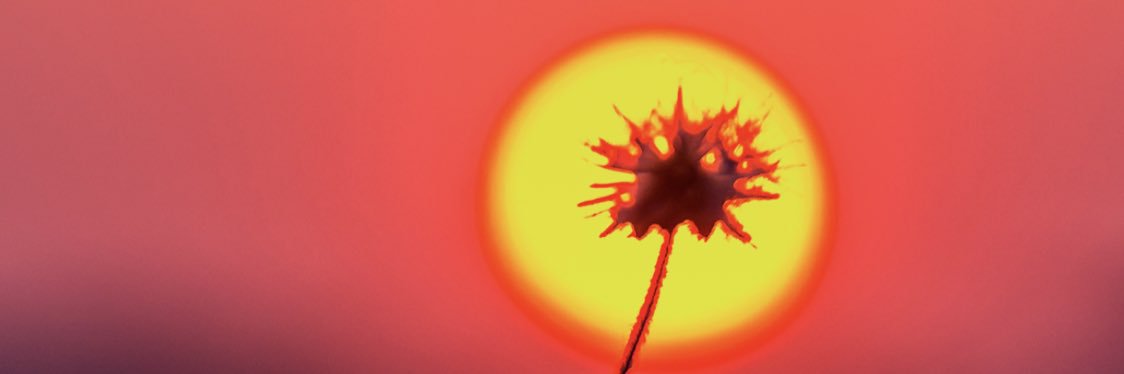 skylarvsmith's profile banner image