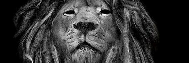 estebannun1's profile banner image
