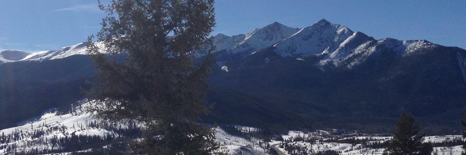 MitchGoertz's profile banner image