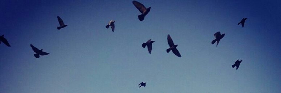 Khalil82bd's profile banner image