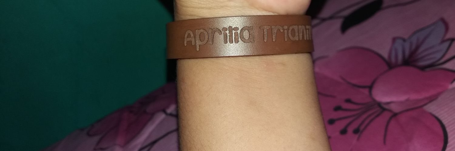 Apriliatn's profile banner image