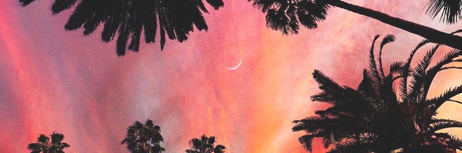 alisoolii's profile banner image
