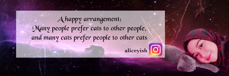 AliceYish's profile banner image