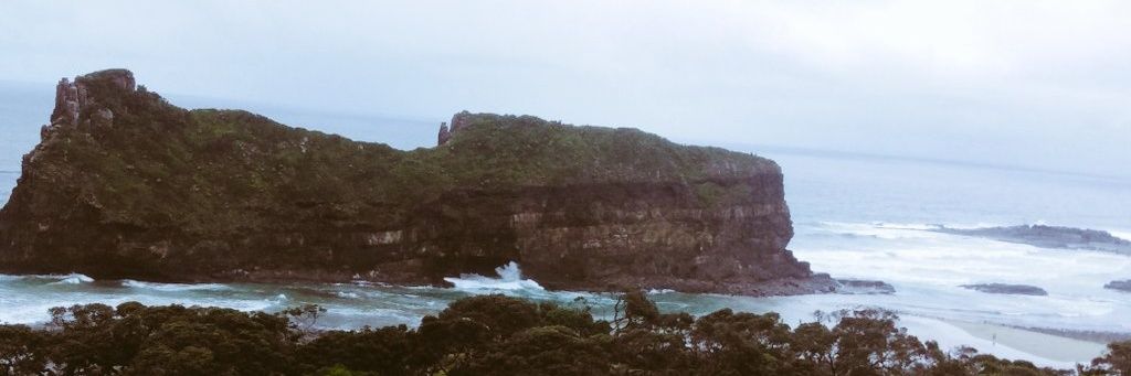 RED||Tomato🍅❤️ banner