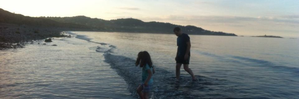 Sarah Bridgeman banner