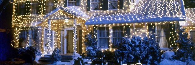 🌻🇺🇦Aunt Bethany🎄🐿 banner