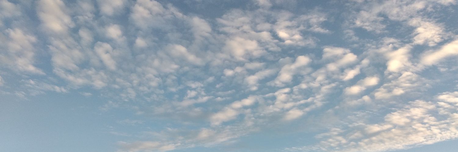 MaryyyMonster's profile banner image