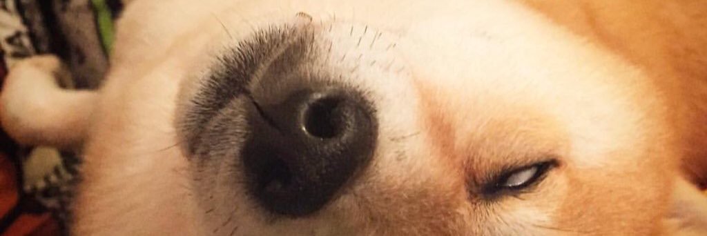 RrFjc's profile banner image