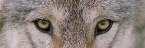 Suceeq's profile banner image