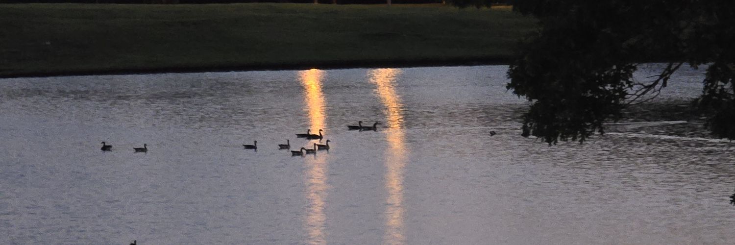 Nathan Schmidt🇺🇸🇺🇸🇺🇸 banner