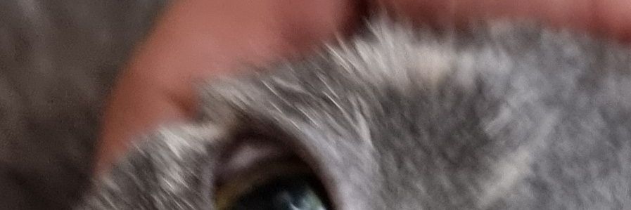 fatemi73's profile banner image